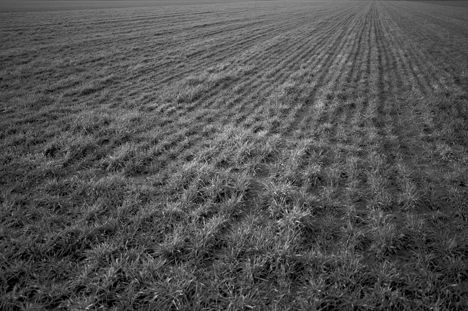 20DU9247 (51 von 102)   Arbeitskopie 3